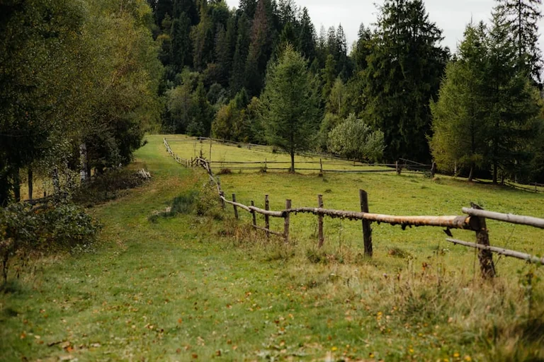 31. augusta horoskops: mierīgs ritms un skaidras robežas