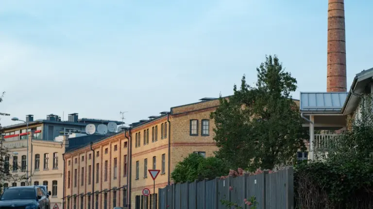Čaka ielas remonts 19. augustā: kā apbraukt darbu zonu