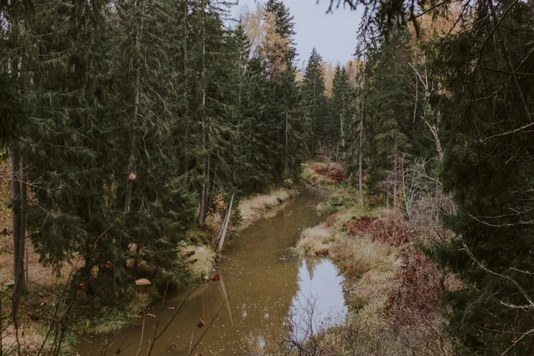Saldus: „Panorama Kurzeme” piešķirs balvas par ainavu foto