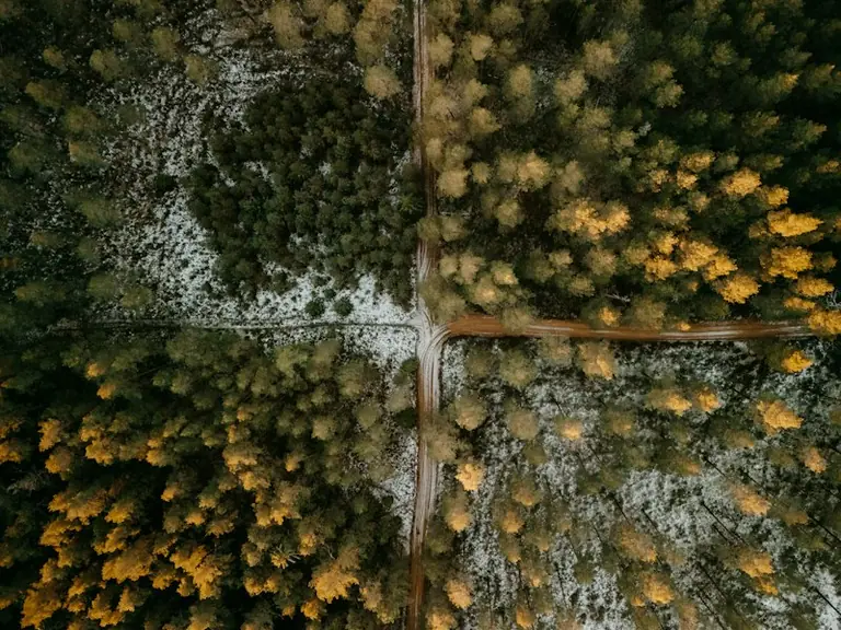 Brīvdienas Latvijas dabas takās 12.–13. septembrī: ceļvedis ģimenēm
