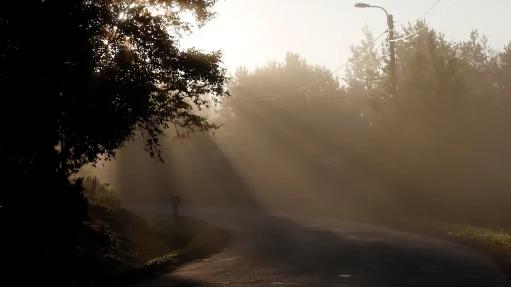 Pirmā pilnā skolas nedēļa: plāns rītiem, ceļam un budžetam