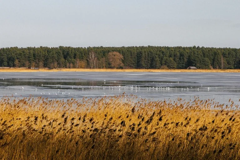 Rīgas pirmais rudens sals: vai gaisā būs mīnusi līdz 31. oktobrim?