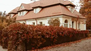 Rudens ekvinokcija: pārbaudi gaismas un apkuri