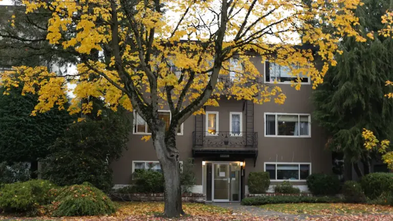 Rudens sākas 22. septembrī: mājas darbu plāns līdz nedēļas nogalei